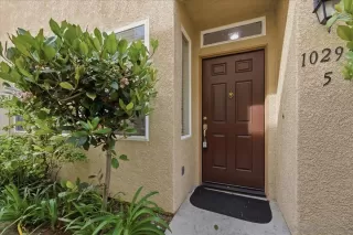 Photo #1: 260007918 Listing 