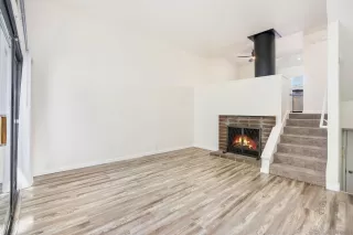 Photo #1: 260008411 Listing 