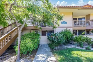 Photo #1: 260008412 Listing 