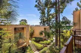 Photo #5: 260008414 Listing