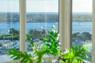 Photo #5: 260008428 Listing 