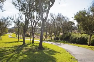 Photo #1: 260008478 Listing 