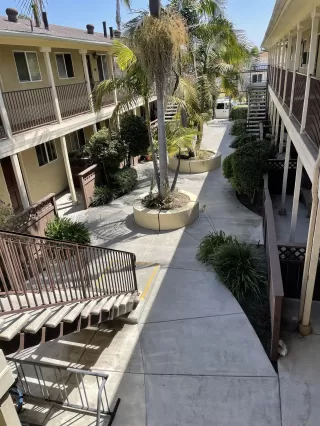 Photo #2: 260008482 Listing 