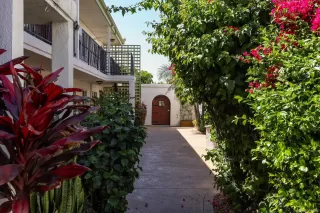 Photo #6: 260008562 Listing 