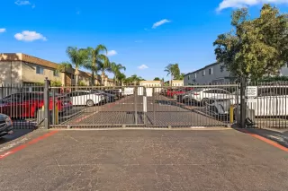 Photo #1: 260008565 Listing 