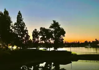 Photo #1: 260008574 Listing 