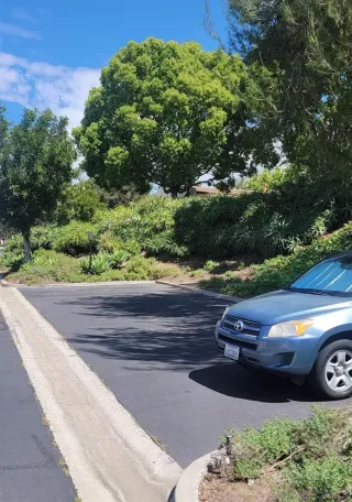 Photo #5: 260008616 Listing