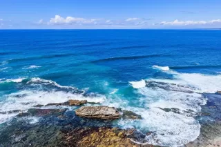 Photo #1: 260008792 Listing 