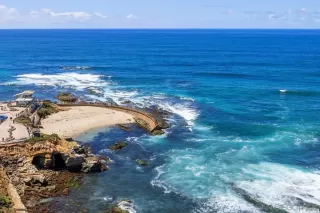 Photo #5: 260008792 Listing 