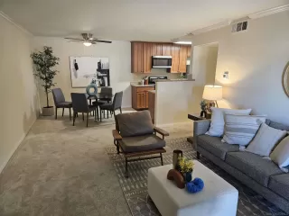 Photo #1: 260008903 Listing 