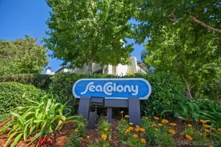 Photo #1: 260008938 Listing 