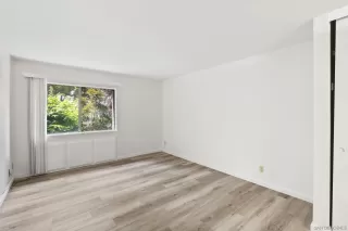 Photo #1: 260008980 Listing 