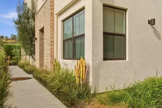 Photo #1: 260009023 Listing 