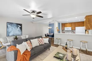 Photo #1: 260009068 Listing 