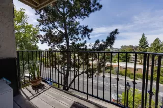 Photo #3: 260009199 Listing 