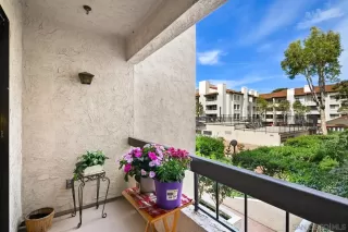 Photo #1: 260009264 Listing 