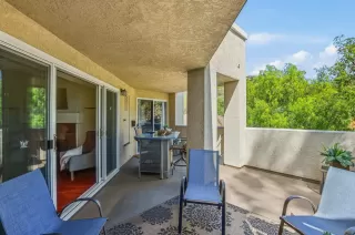 Photo #1: 260009300 Listing 