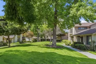 Photo #2: 260009326 Listing 