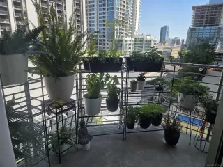 Photo #6: 260009411 Listing 