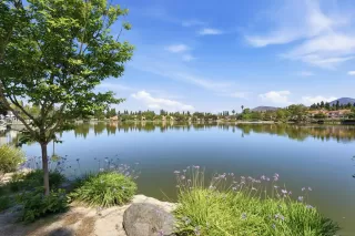 Photo #3: 260009473 Listing 