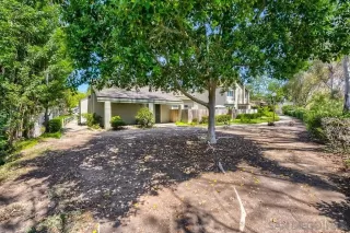 Photo #1: 260009545 Listing 