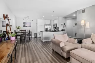 Photo #1: 260009549 Listing 