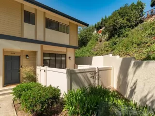 Photo #6: 260009614 Listing 