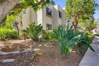 More Details about MLS # 260009640 : 9959 AZUAGA STREET UNIT I101