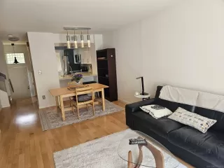 Photo #1: 260009719 Listing 