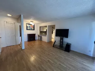 Photo #2: 260009749 Listing 