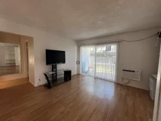 Photo #3: 260009749 Listing 