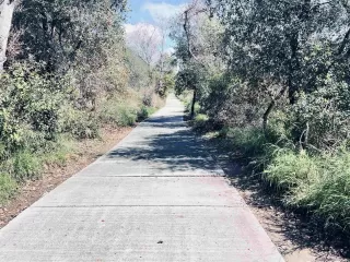 Photo #6: 260009749 Listing 