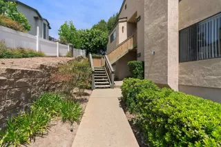 Photo #1: 260009781 Listing 