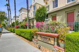 Photo #1: 260009816 Listing 