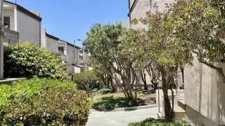 Photo #2: 260009932 Listing 