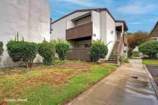 Photo #1: 260009991 Listing 