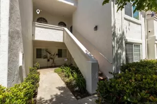 Photo #1: 260010136 Listing 