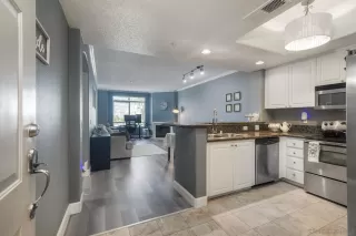 Photo #1: 260010222 Listing 