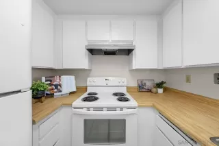 Photo #5: 260010258 Listing 