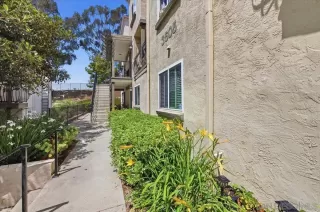 Photo #5: 260010290 Listing 