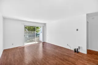 Photo #5: 260010345 Listing 