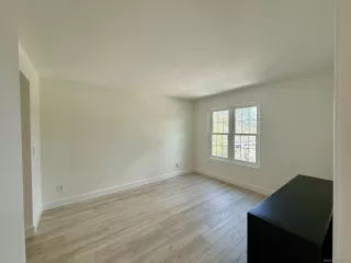 Photo #5: 260010359 Listing 