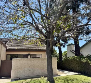 Photo #2: 260010417 Listing 