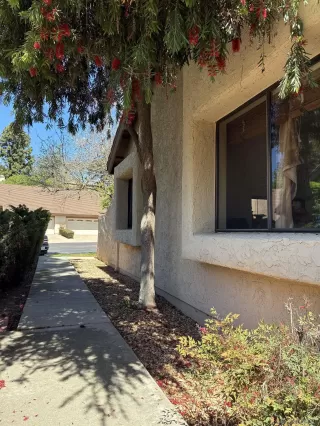 Photo #4: 260010417 Listing 
