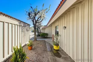 Photo #4: 260010429 Listing 