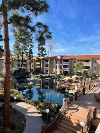 Photo #6: 260010441 Listing 