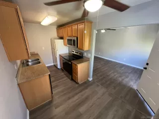 Photo #1: 260010456 Listing 