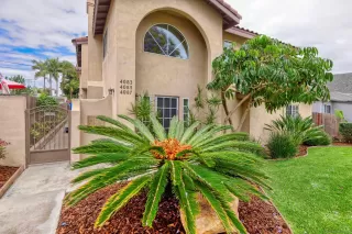 Photo #5: 260010510 Listing 