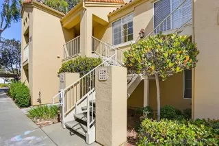 Photo #1: 260010596 Listing 