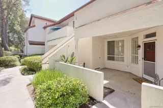 Photo #1: 260010777 Listing 